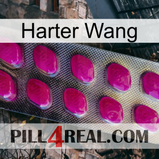 Hard Wang 09
